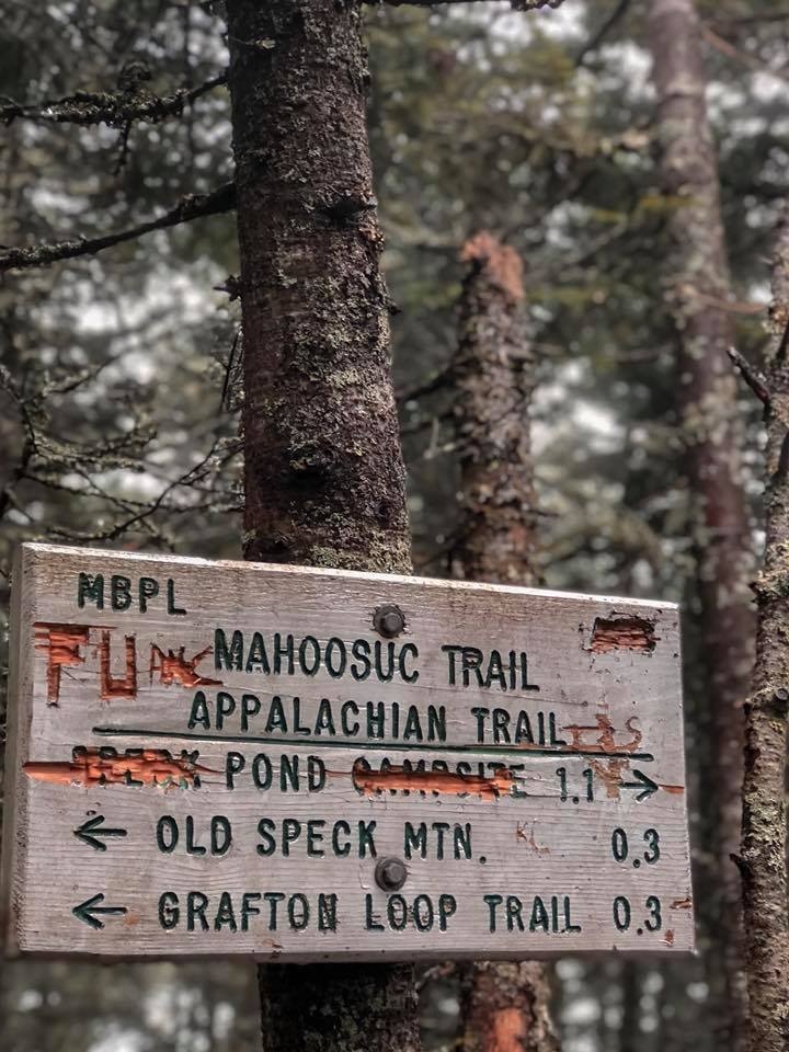 Old Speck Mountain Trail Views Old Speck Mountain Trail Views