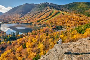 Artist's Bluff Hike