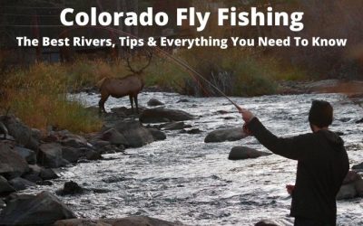 Fly Fishing Colorado – The Best Rivers, Tips & Everything You Need
