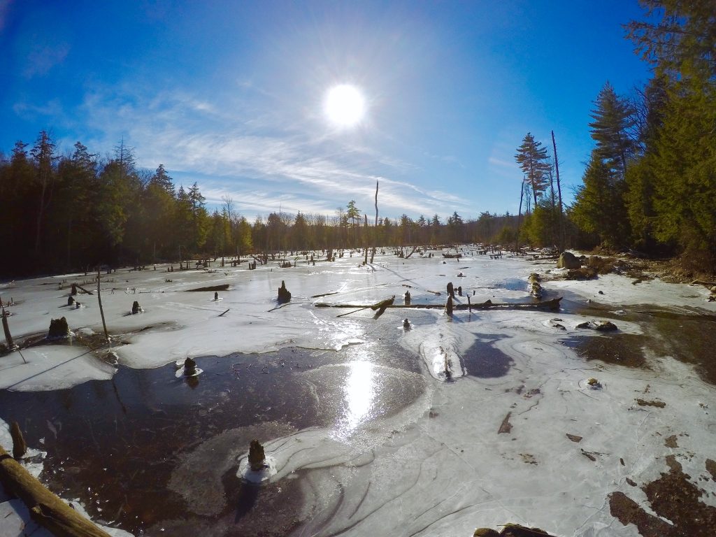 Beaver Pond Trail