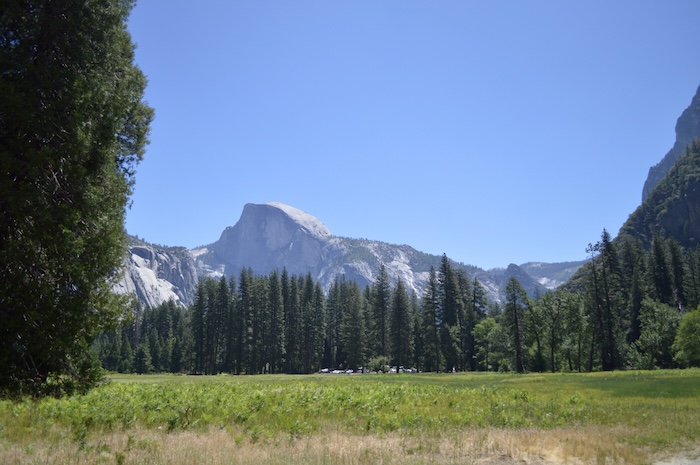 View of Half Dome from Cook's Meadow in Yosemite National Park