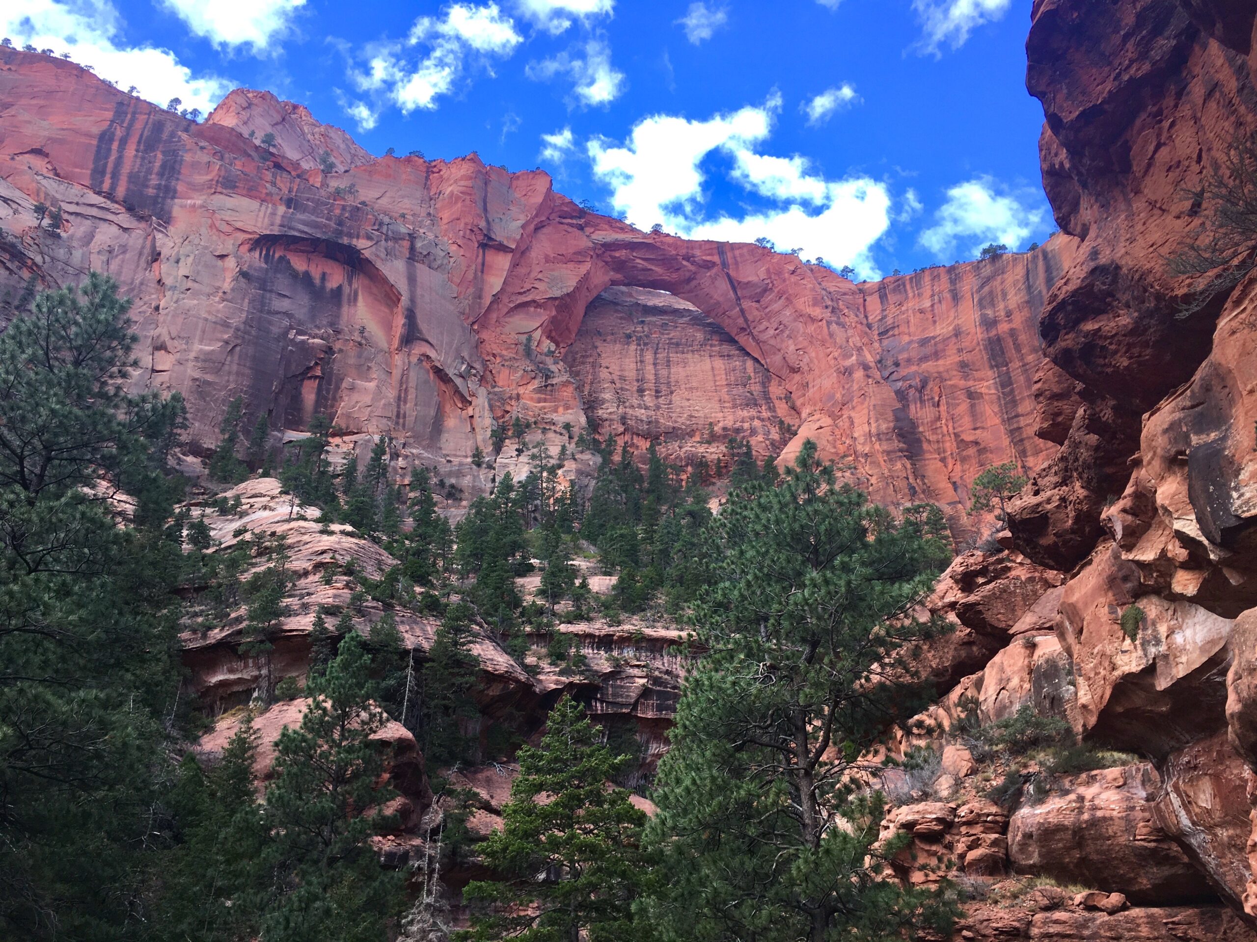 Hiking Kolob Arch | La Verkin Creek & Hop Valley Trail | Zion National Park