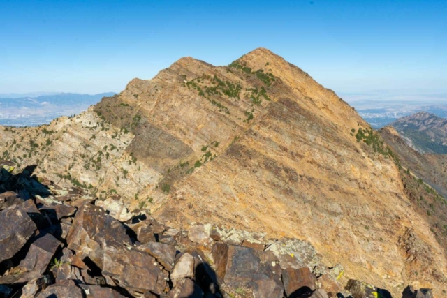 Looking back at Twin Peaks