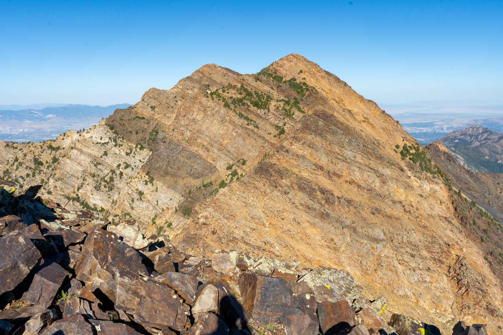 Looking back at Twin Peaks