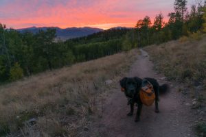 From along the Colorado Trail, just west of Kenosha Pass in the Lost Creek Wilderness