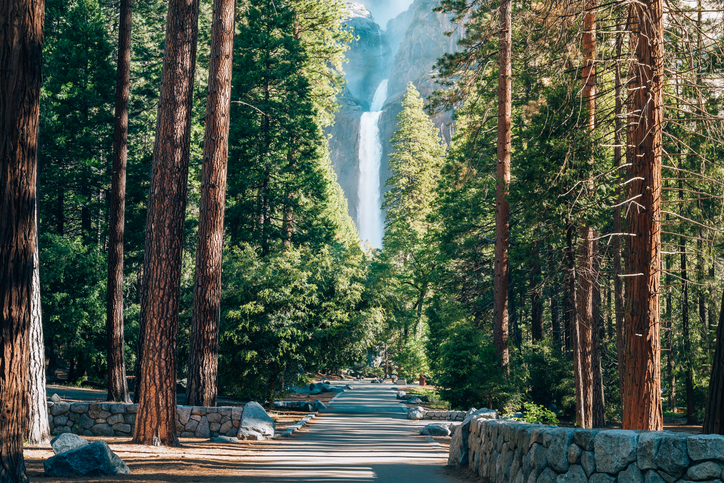 Lower Yosemite Falls, Yosemite National Park