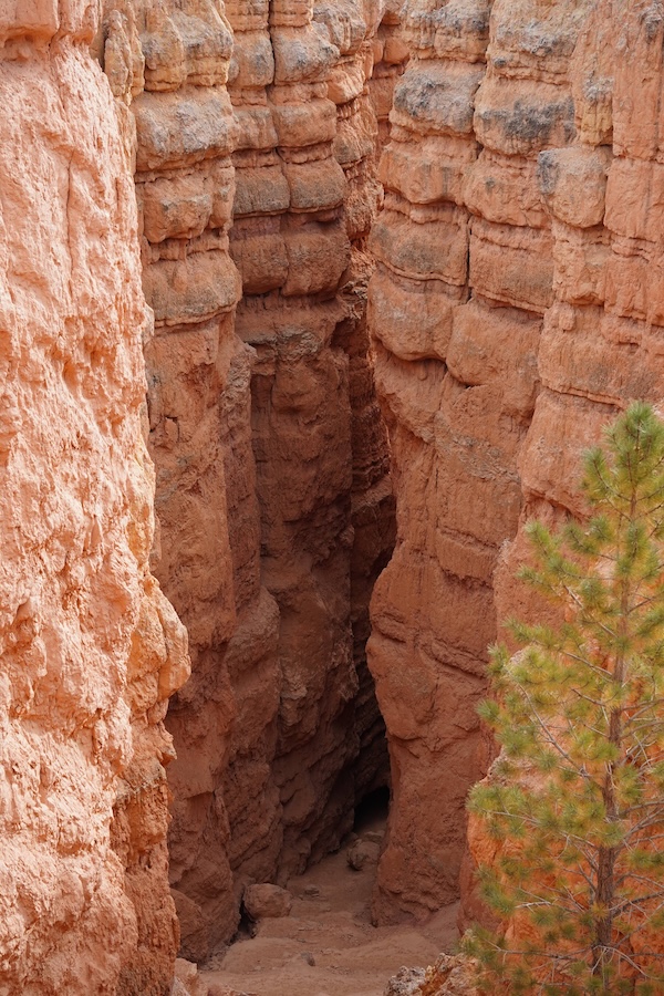 Navajo Loop Trail