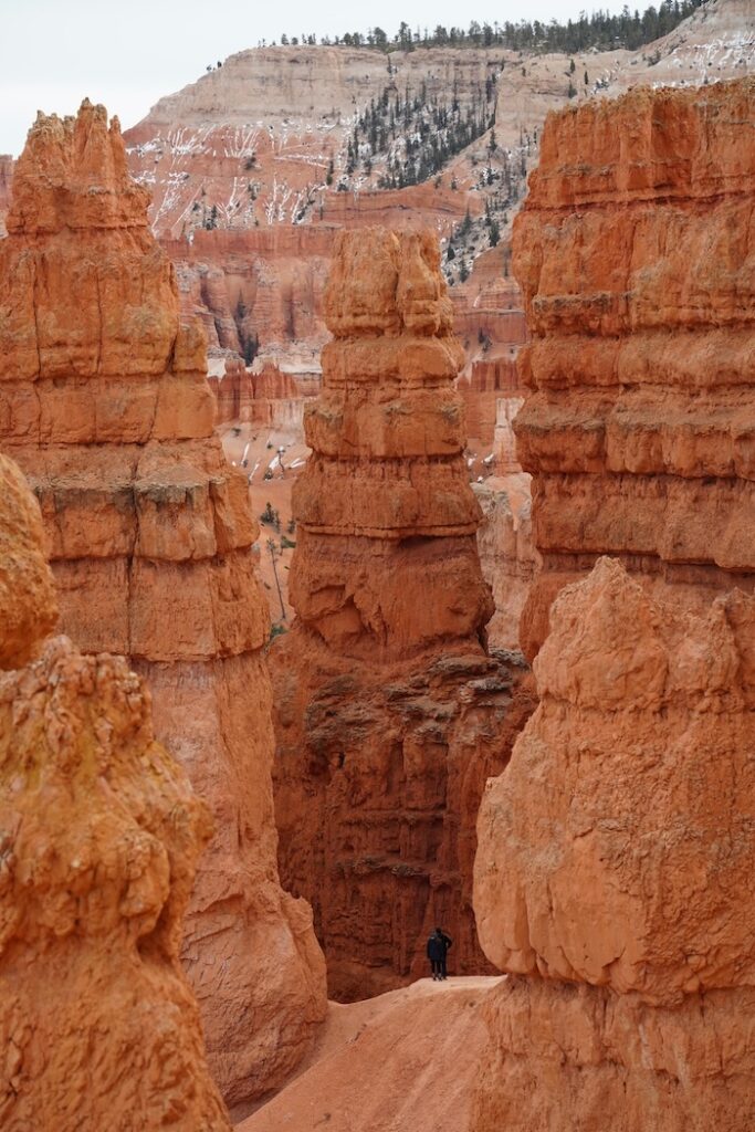 Navajo Loop Views