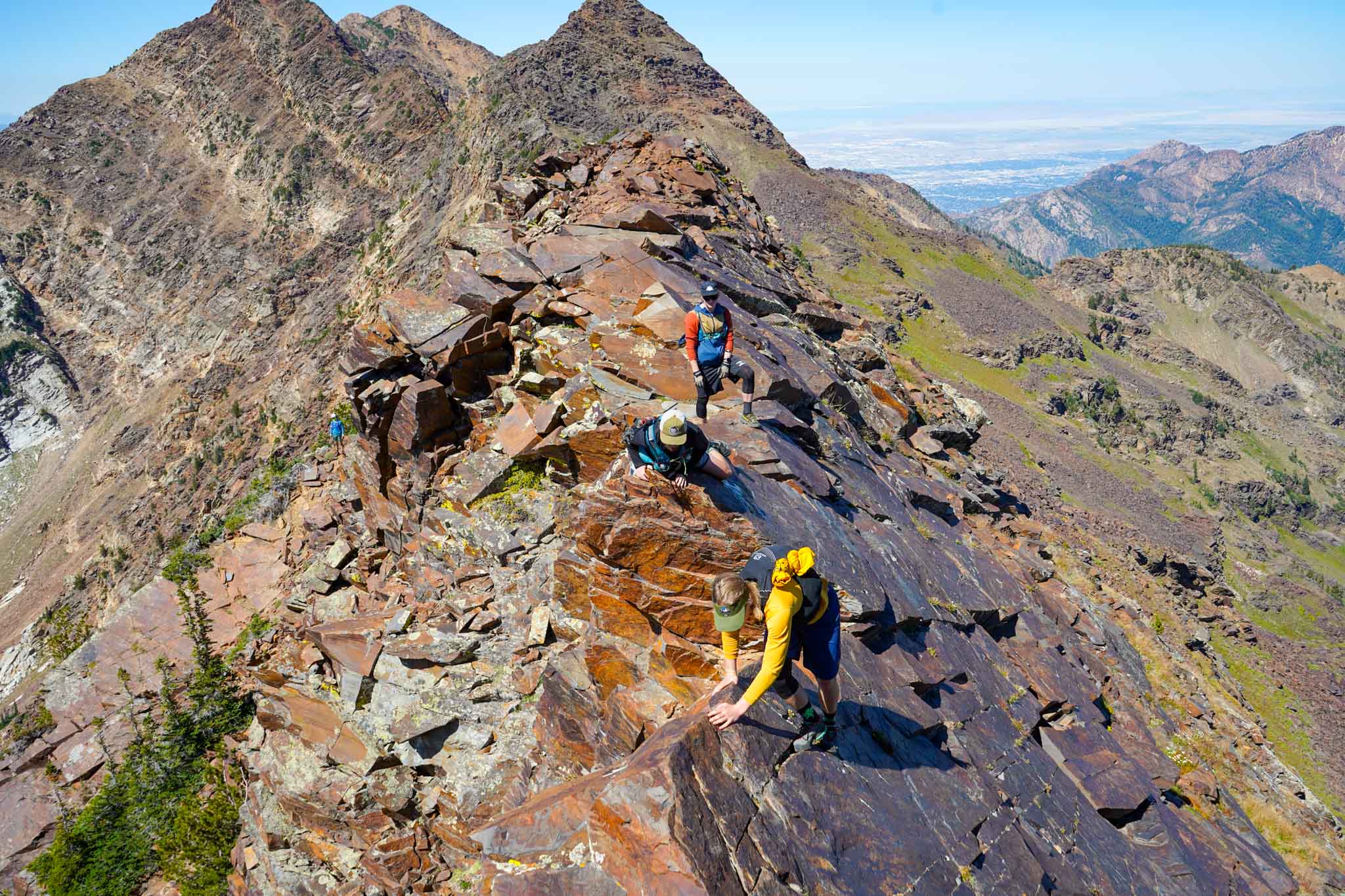 Scrambling between Dromedary and Monte Cristo