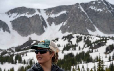 Tifosi Sunglasses Review: Crit