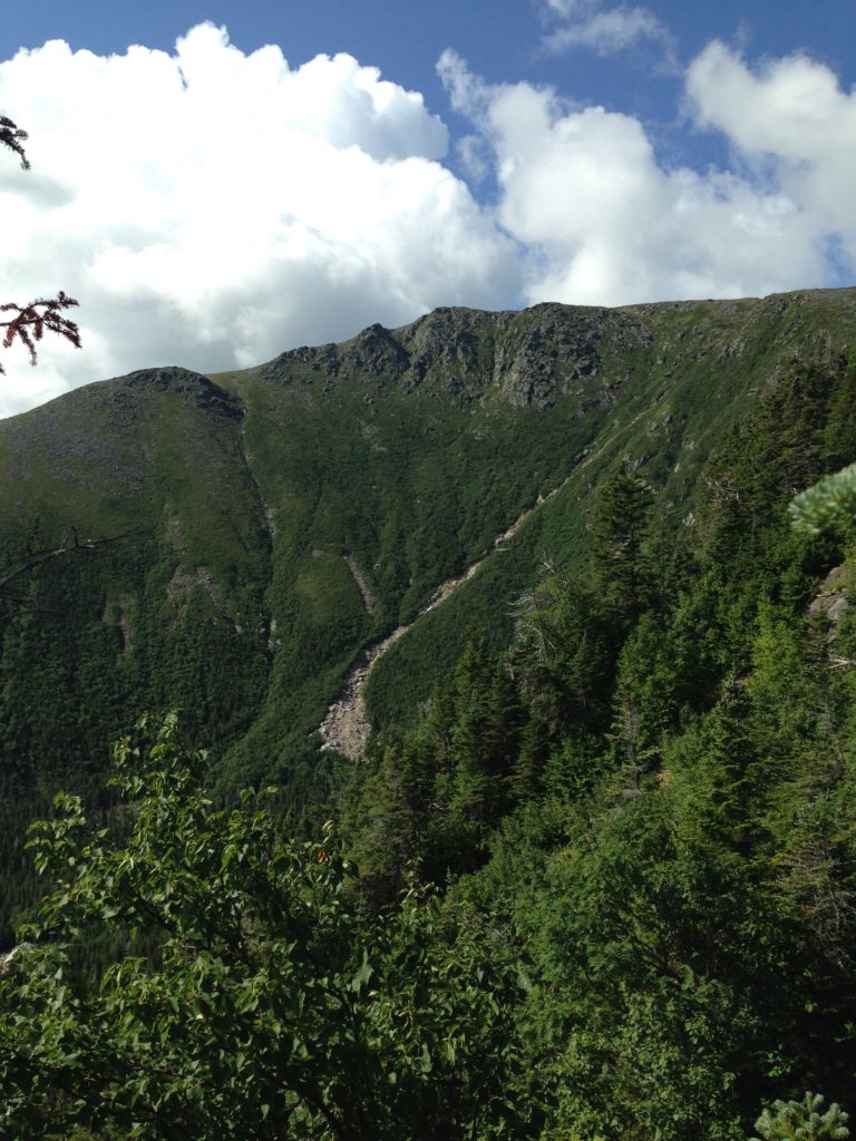 Tuckerman Ravine from Lions Head Trail