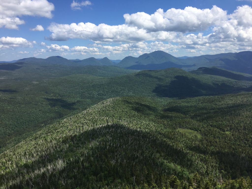 View from Zeacliff