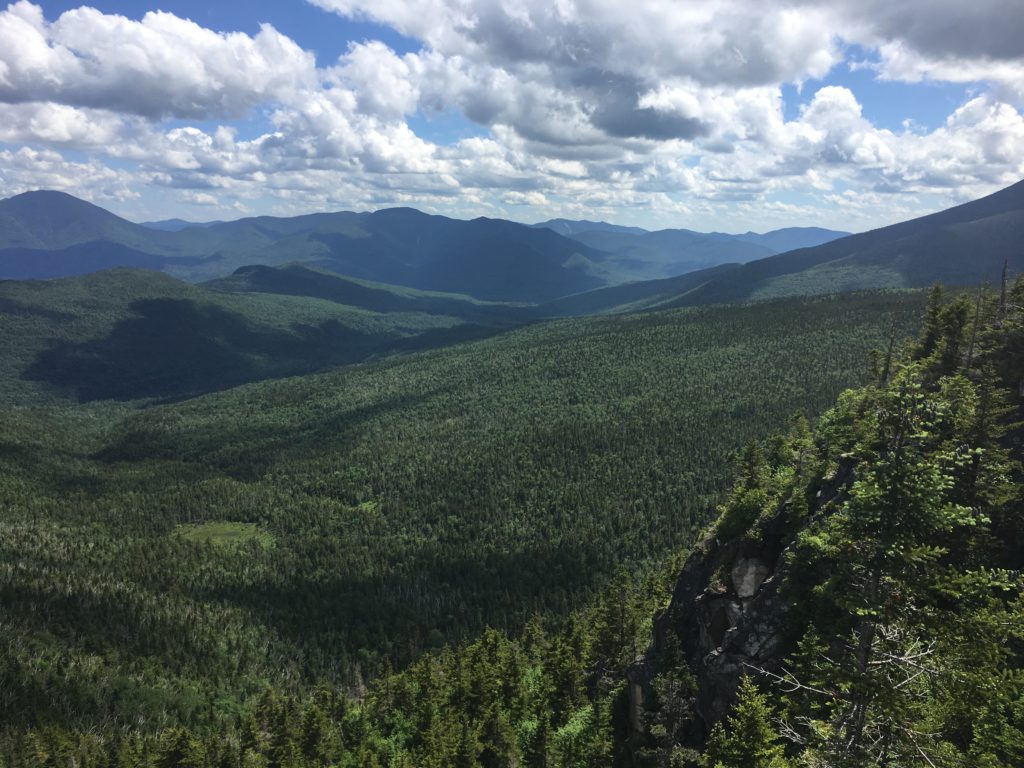 View Southeast from Zeacliff