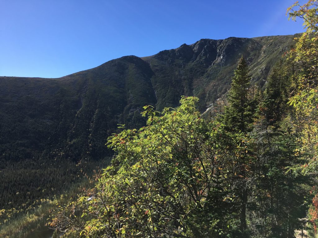 Views from Lions Head Trail