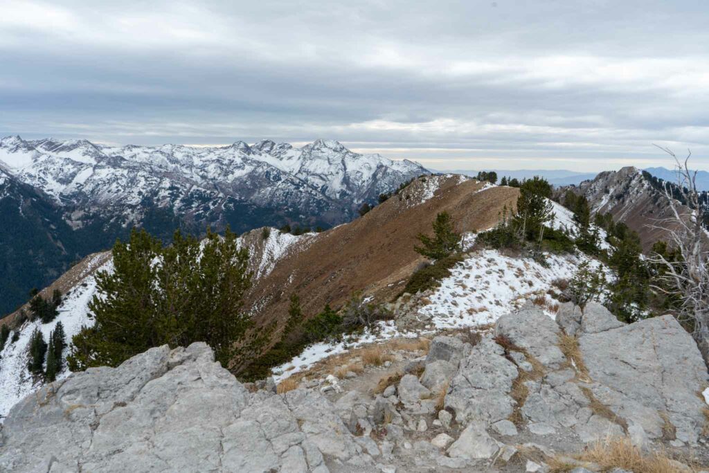 Views from summit of Gobblers Knob