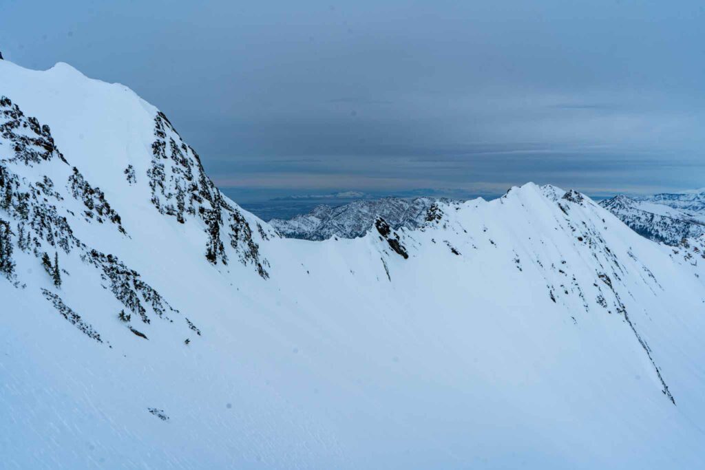 Views of Cardiac Ridge