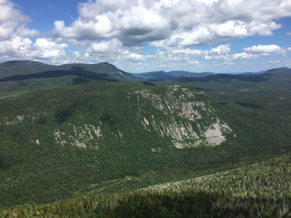 Zealand Notch