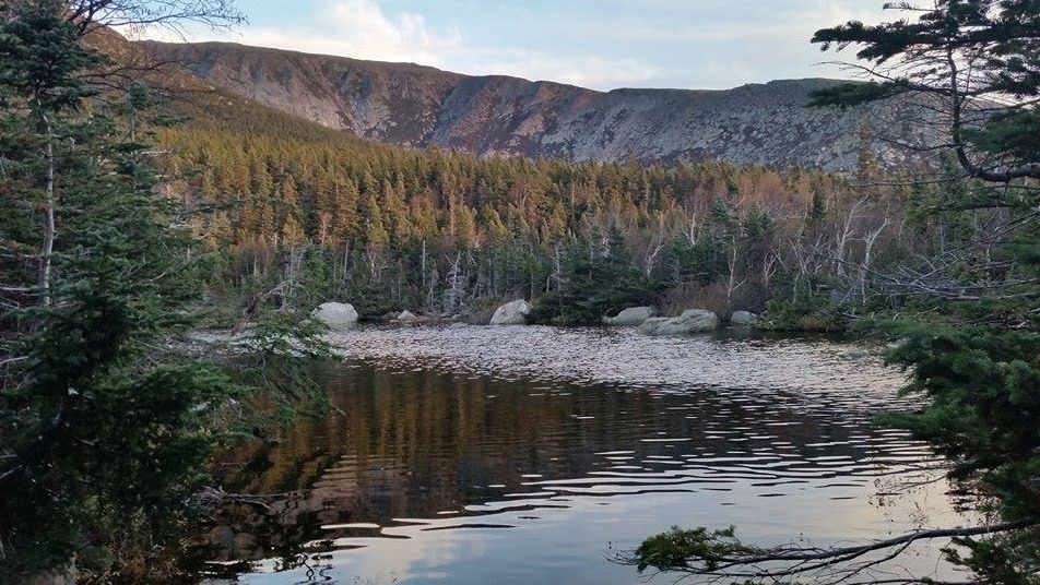 Chimney Pond