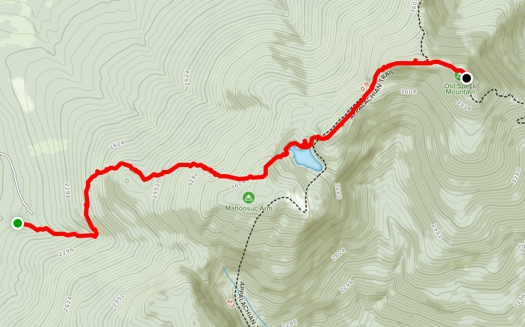 Old Speck Mountain Trail Guide